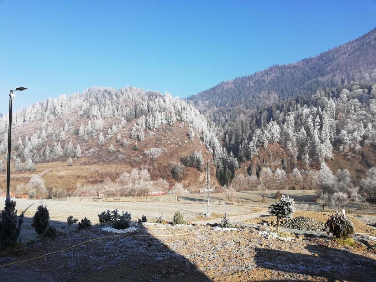 Holiday home Panoramic Stanceni