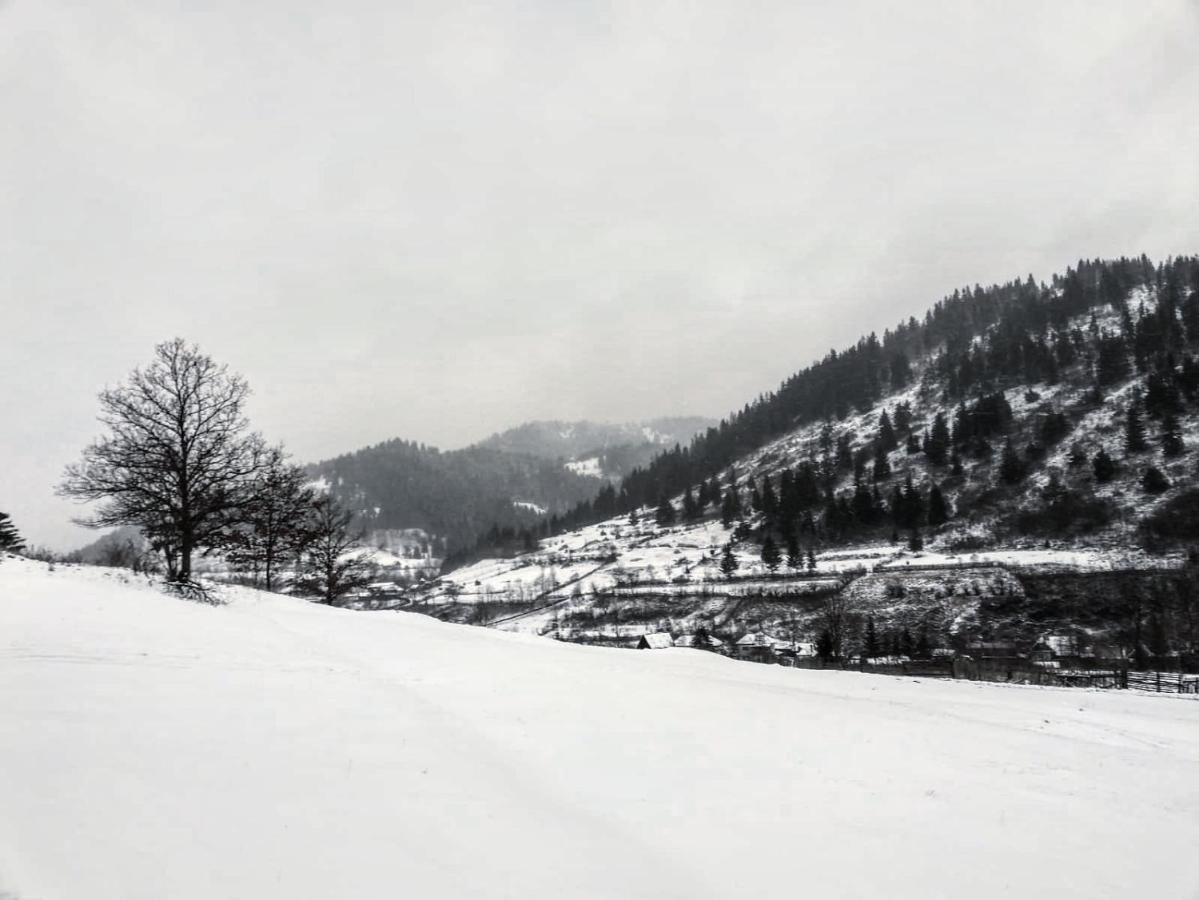 Panoramic Stanceni *
